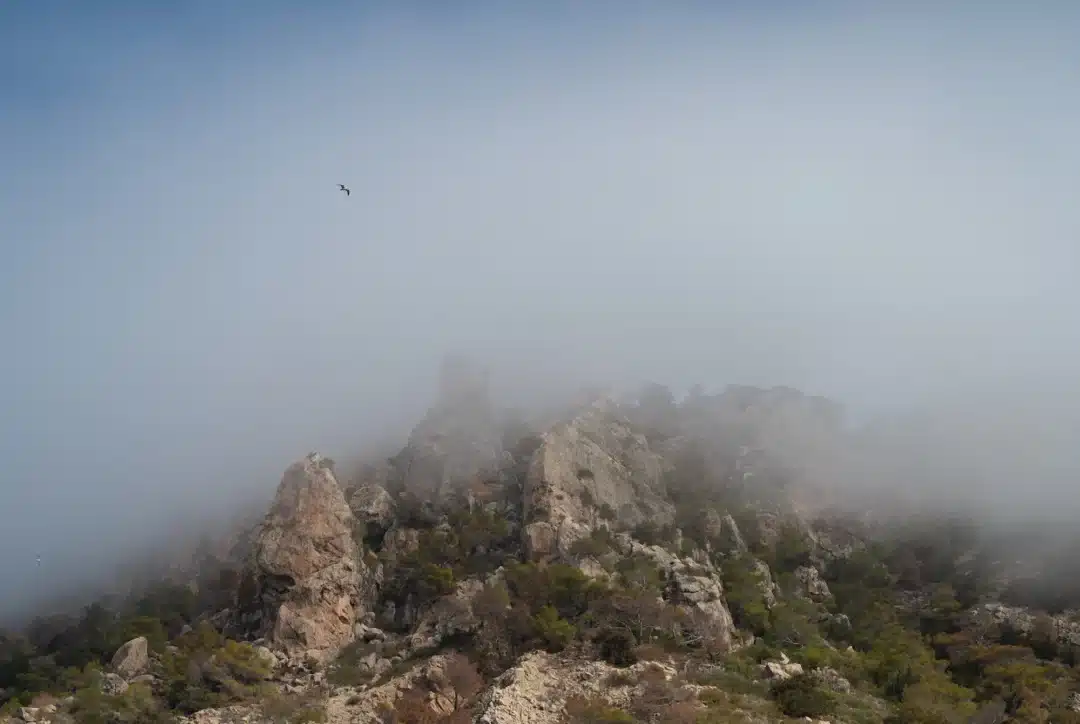 CAp des Llibrell copia – Living Ibiza Cap Des Llibrell