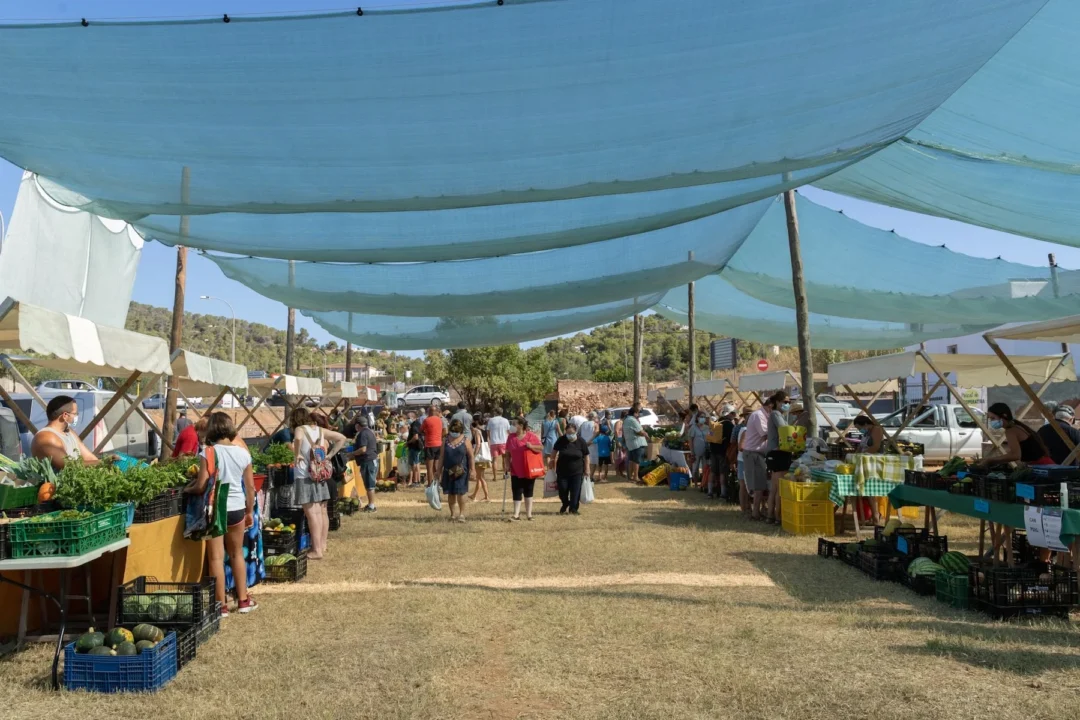 Cooperativa Agricola Sant Antoni – Living Ibiza Sport Event, Sport In Ibiza, Sporting Events &Ndash; Cooperativa Agricola Sant Antoni &Ndash; Living Ibiza