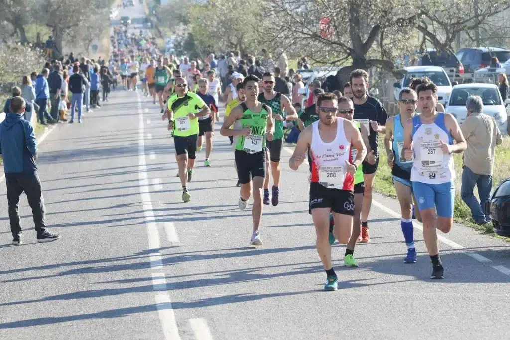 Flor dAmetller 2 – Living Ibiza Sport Event, Sport In Ibiza, Sporting Events &Ndash; Flor Dametller 2 &Ndash; Living Ibiza