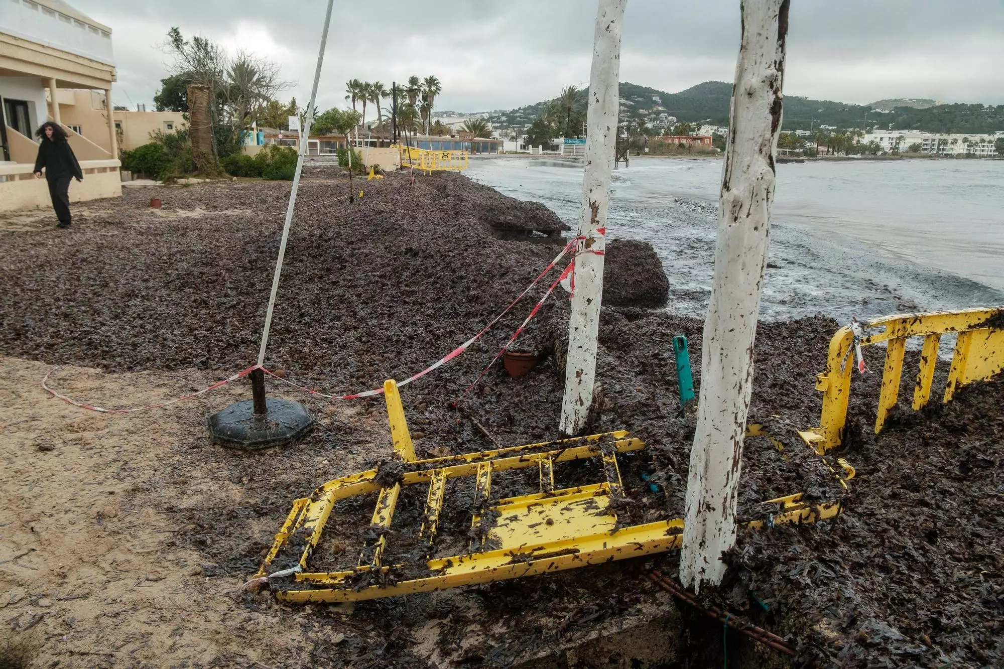 Searching for a solution for "Ibiza’s most emblematic beach": "You look at it and it makes you want to cry"