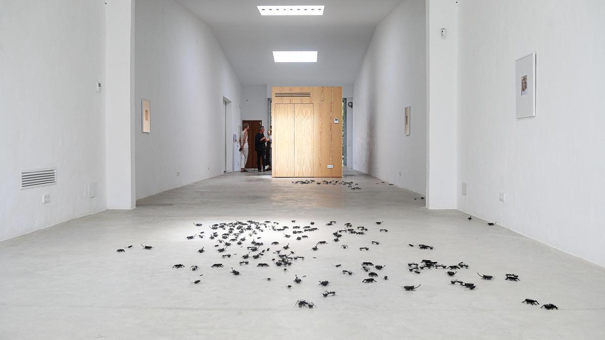 La exposición 'Protein', de Nina Beier y Simon Dybbroe Møller, en La Carpintería.