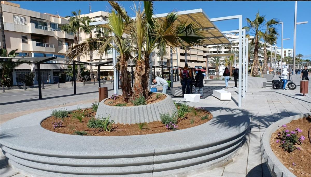 Image of the landscaped area of the port of Ibiza.