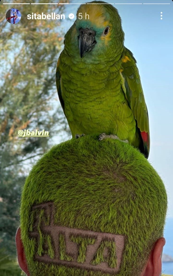 Singer J Balvin poses with a parrot while being phorographed by stylist