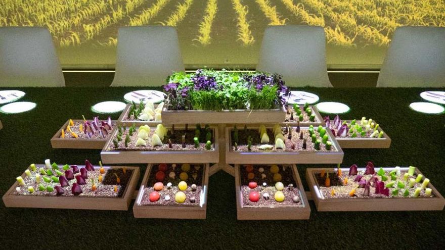 Exclusive restaurant, The Sublimotion to doors in Ibiza from 1st July with special edition