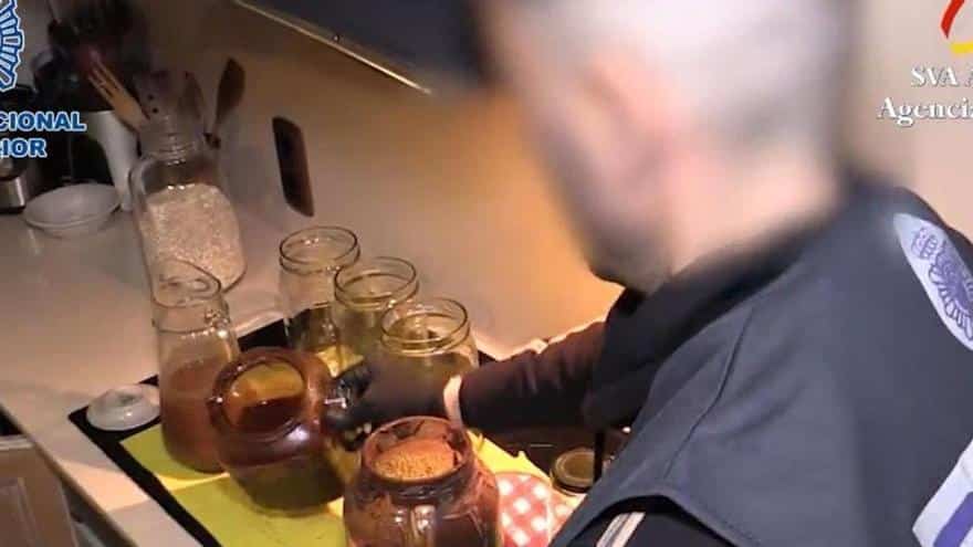 The dangerous fashion of ayahuasca, the drug of the neo-Chamanic sects