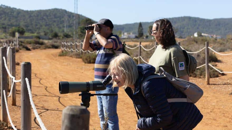 Exclusive route through the ornithological paradise of ses Salines de Ibiza