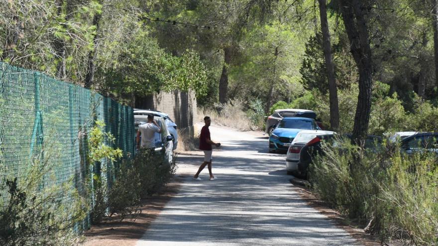 Illegal party detectives start work in June