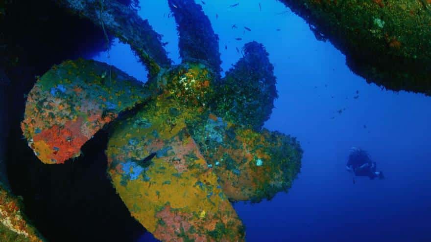 Onshore display of the treasures of submerged Ibiza