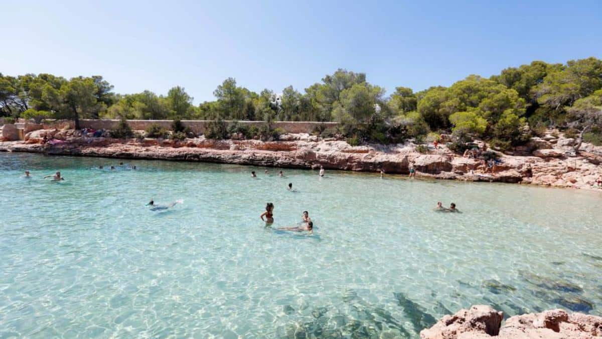 Live music stars in this weekend’s agenda