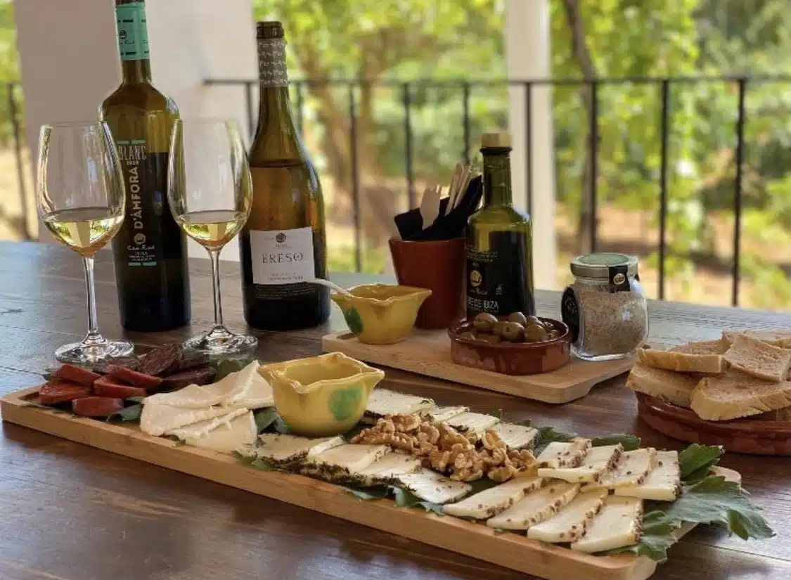 Can Rich: discover a viticulture adapted to climate change in Ibiza