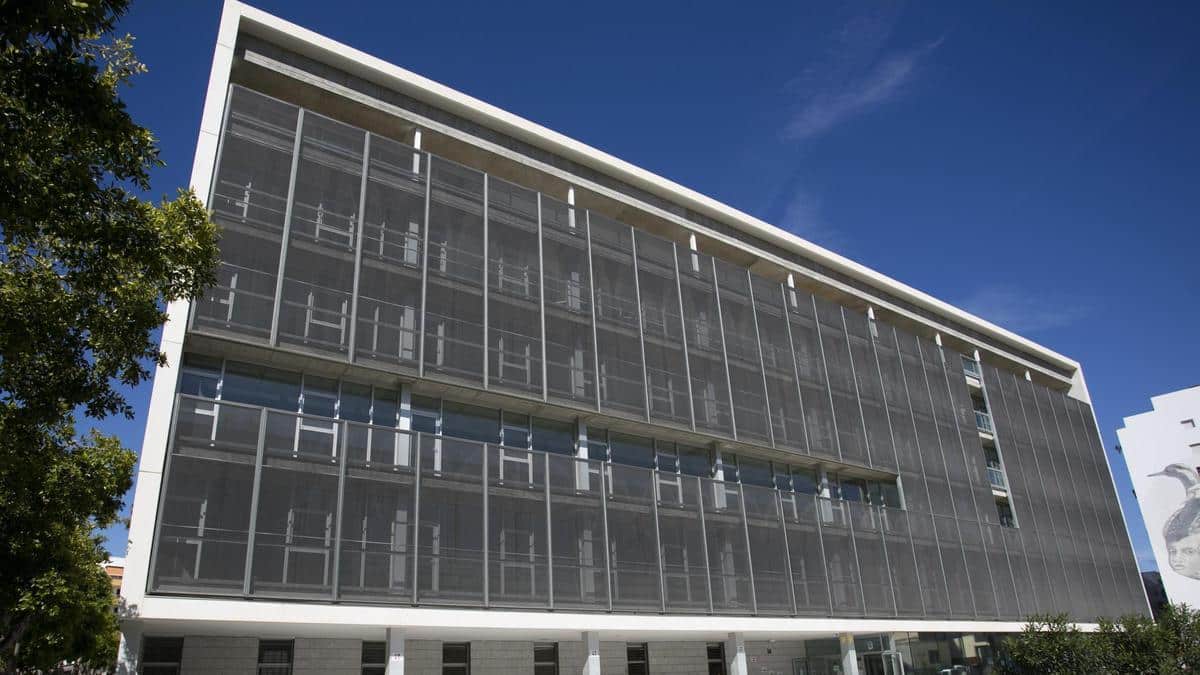 More than 650 kilos of drugs seized in a macro operation in Ibiza