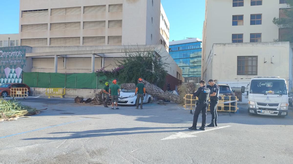 Una imagen de la Policía Local y los operarios de Jardines en el lugar de los hechos.