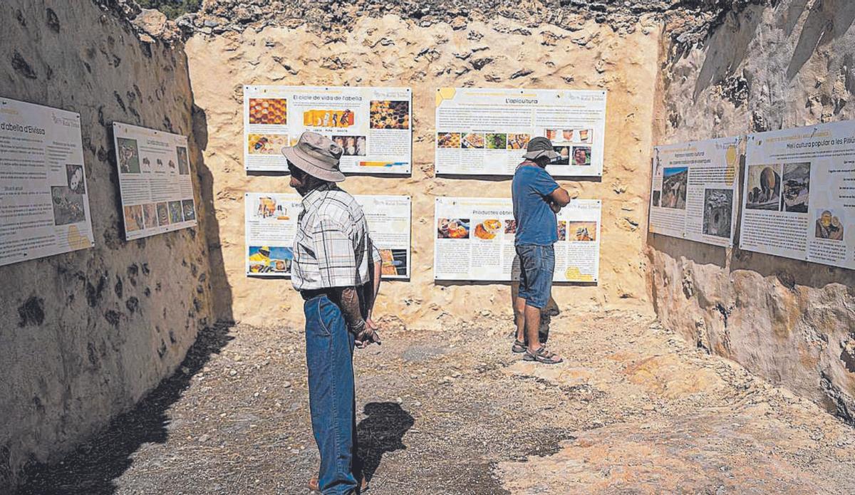 Centro de divulgación de la abeja ibicenca en es Rafal Trobat. | | IRENE VILA