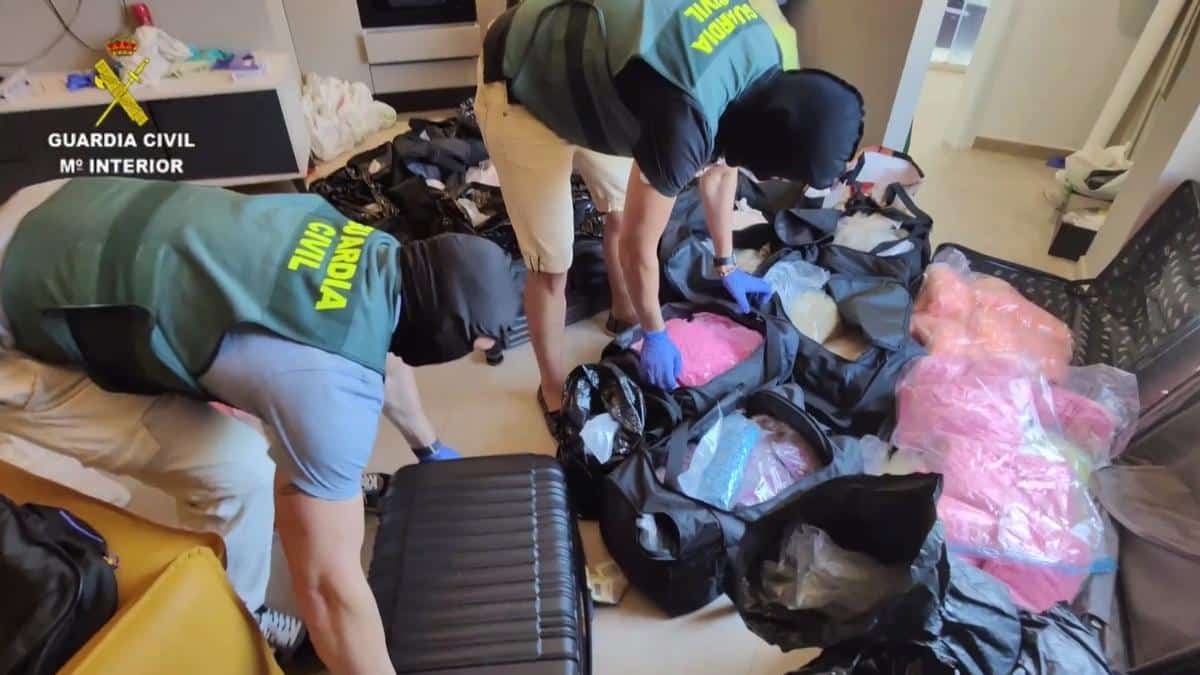 Nine arrested in the macro drug operation of Ibiza