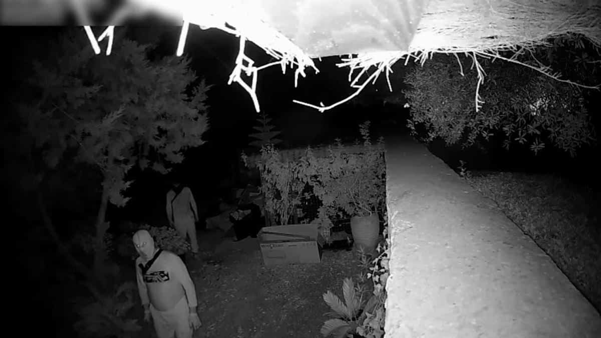 Luxury villa rentals in Ibiza: drunkenness, drugs, thefts and excesses