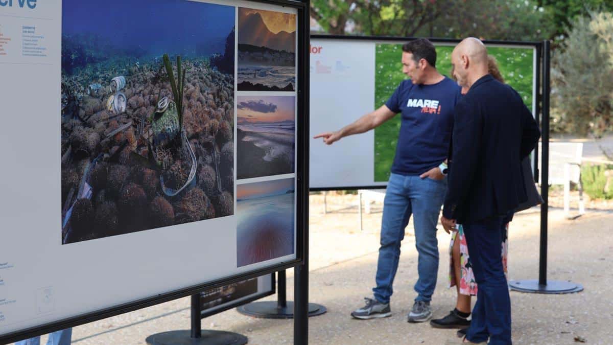 A photographic exhibition to dive into the Balearic Sea
