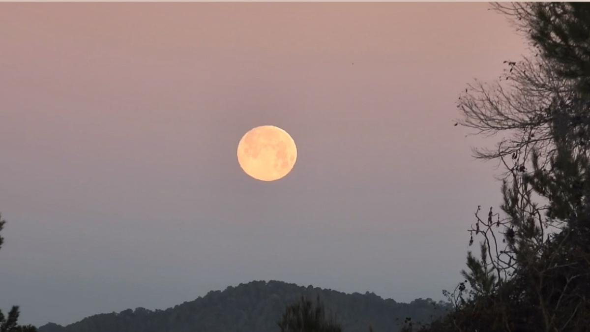The biggest supermoon of the year arrives, will it be possible to see it in Ibiza?