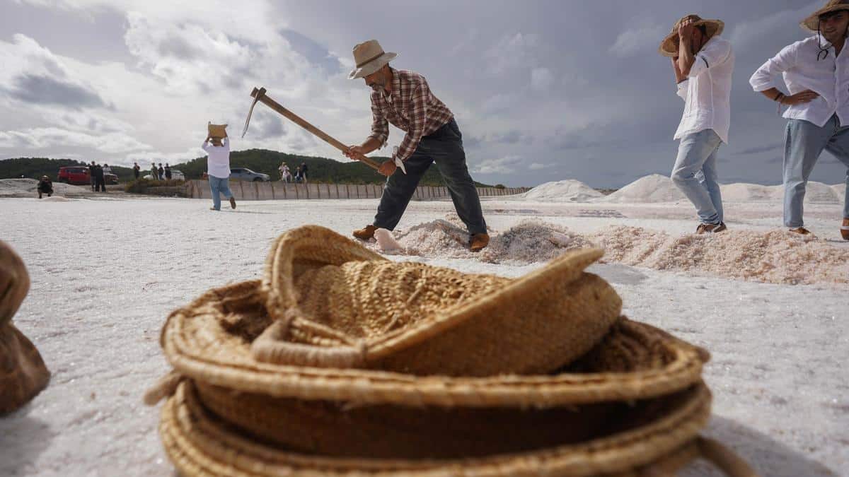 The best plans for the weekend in Ibiza and Formentera