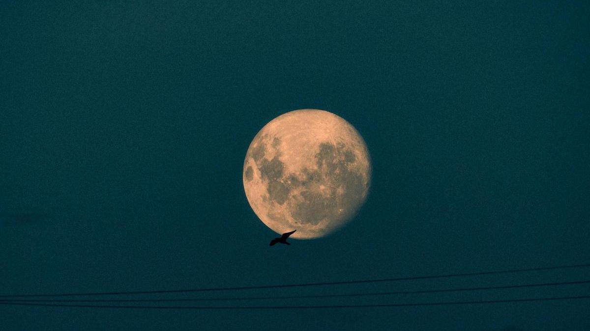 This is the day on which the last supermoon of the year will be seen in Ibiza