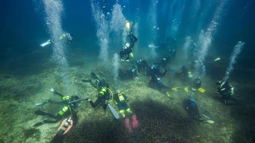 Posidonia, the mistreated heritage of Ibiza and Formentera