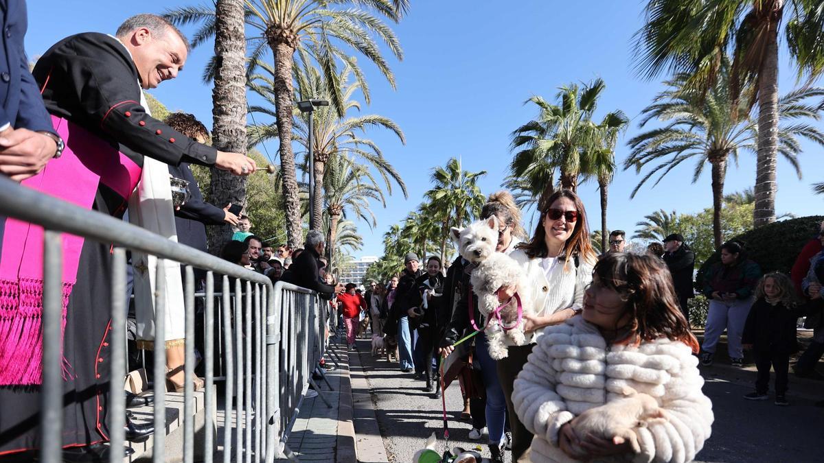 The best plans for the weekend in Ibiza and Formentera