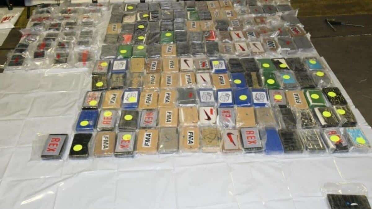 An arrest in a discotheque in Ibiza and two trucks with 300 kilos of heroin: a fingerprint clears everything up