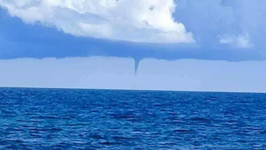 Capture of a ‘cap de fibló’ in Ibiza waters