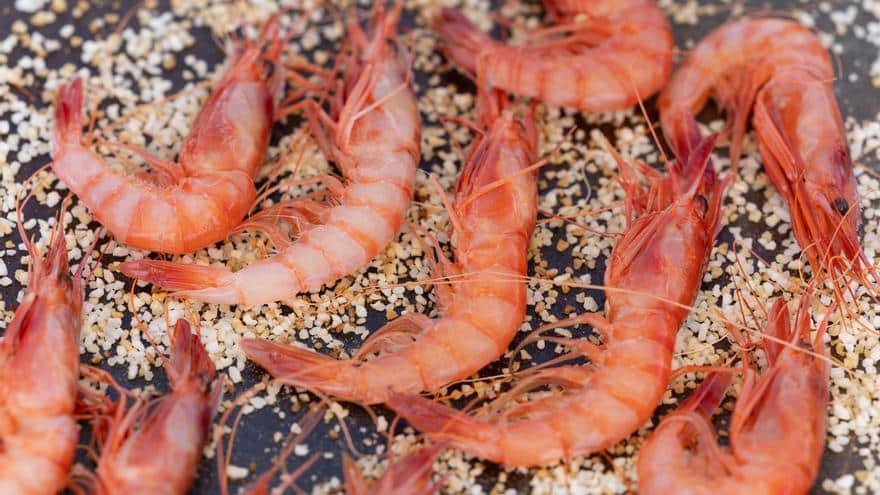 The best plans for the weekend in Ibiza and Formentera