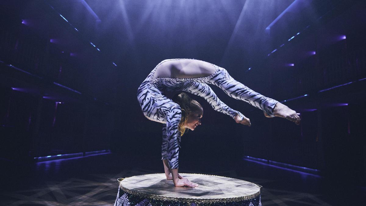 Discover the most complete plan for summer evenings at Teatro Pereyra