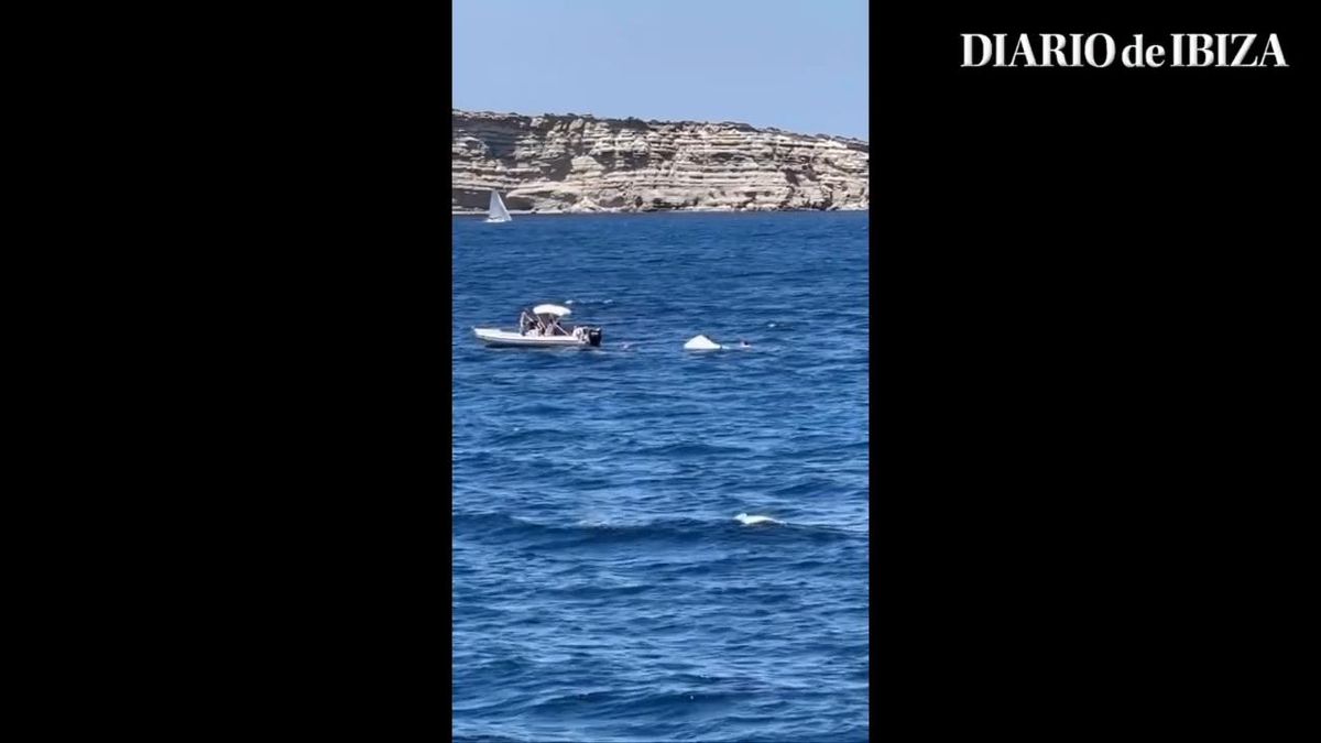 A small boat sinks in Platges de Comte and the crew of another boat rescues its occupants