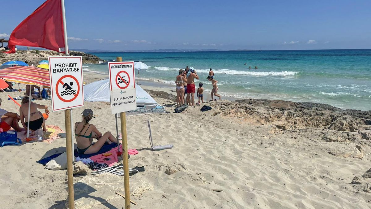Formentera’s sa Roqueta beach closed for bathing due to fecal contamination