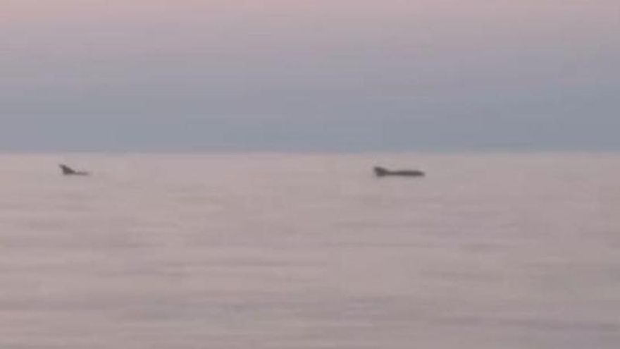 A sunset in Ibiza with dolphins included