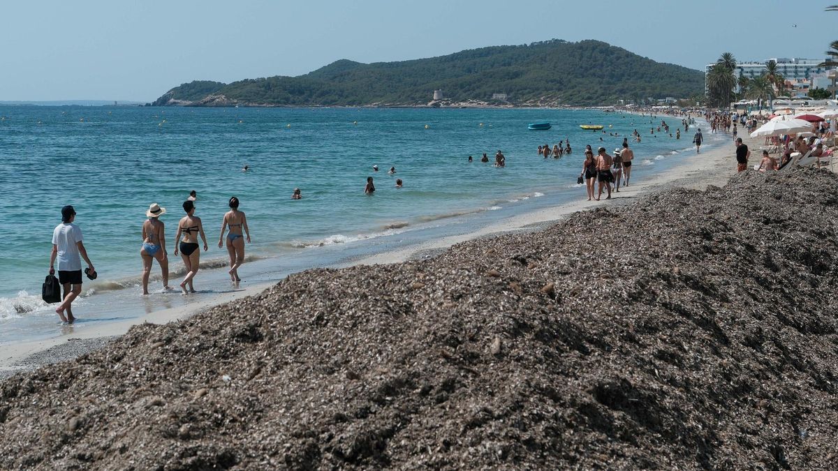 Death of a 51 year-old Czech tourist in Platja d’en Bossa