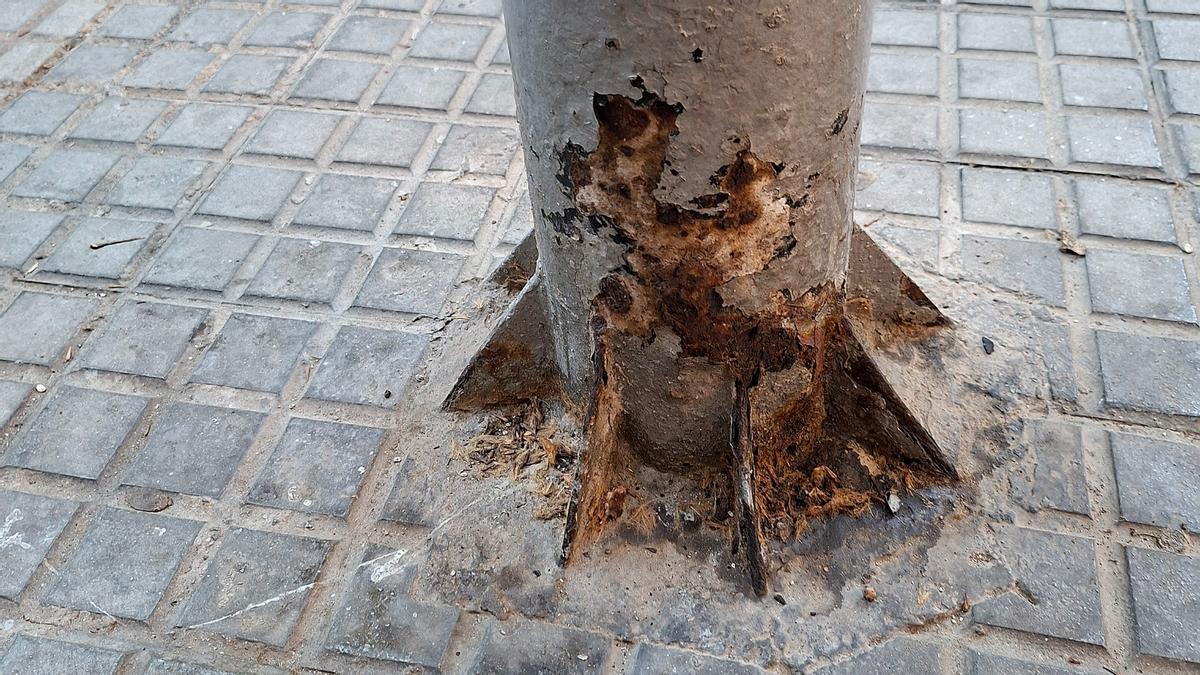 A fight in Ibiza over dog urine ends in court conviction