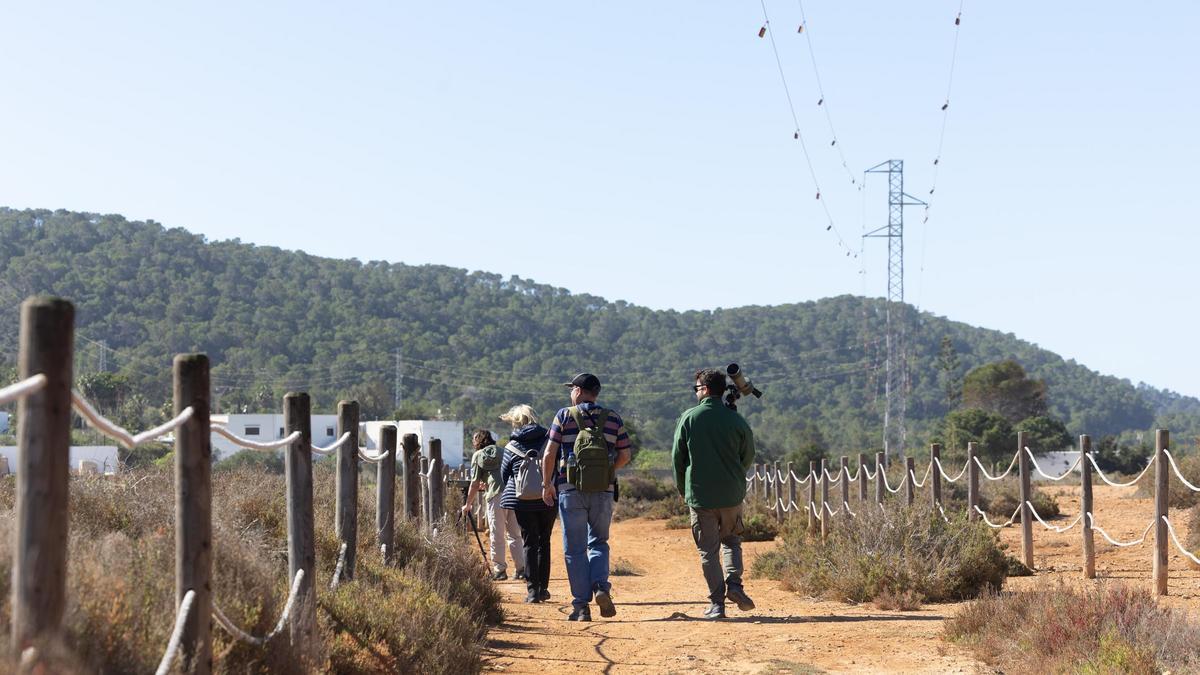 The sun comes out in Ibiza and Formentera: the forecast for the rest of the week