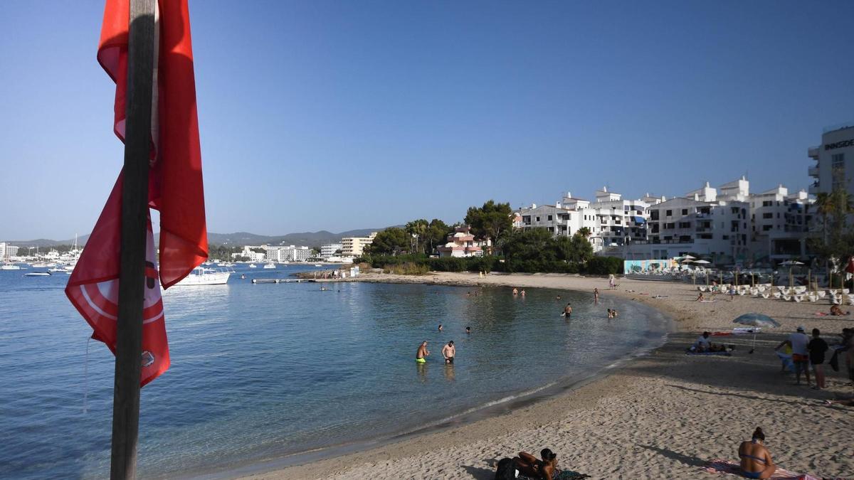 https://living.diariodeibiza.es/news/ibiza/balearic-sea-report-ibiza/
