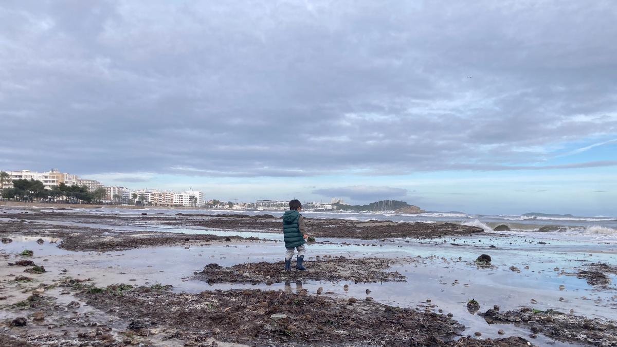 Yellow alert for wind and rough seas in Ibiza and Formentera: gusts of up to 70km/h