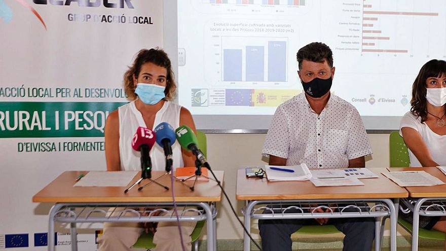 Electricity prices in Ibiza: a nightmare measured in kilowatt-hours