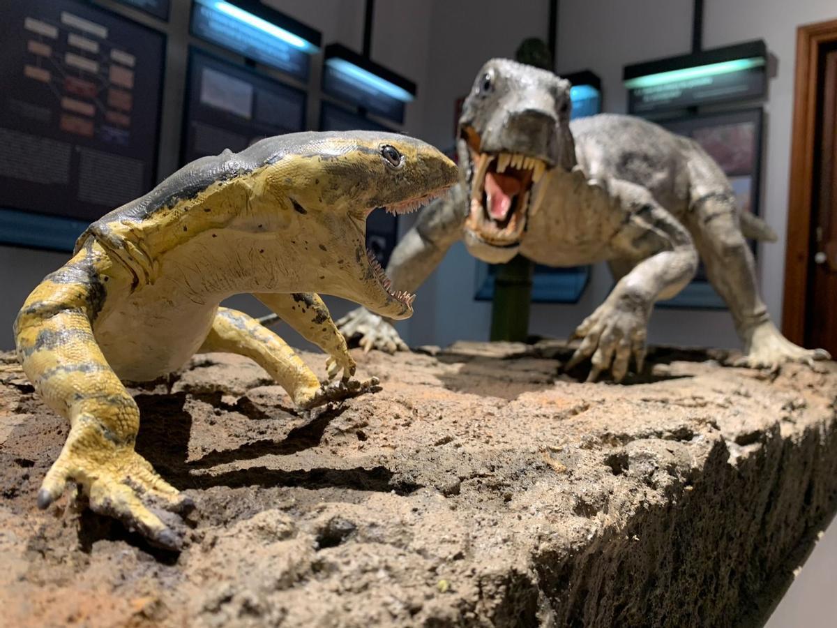 En primer plano, el tramuntanasaurio. Detrás, el 'dientes de sable' descubierto en el mismo yacimiento.