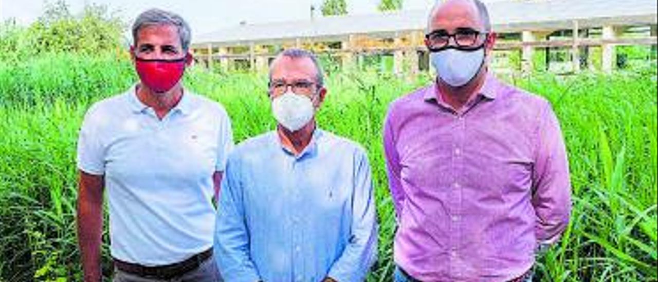 More than 3,000 Balearic Islanders apply for aid for self-consumption of renewables