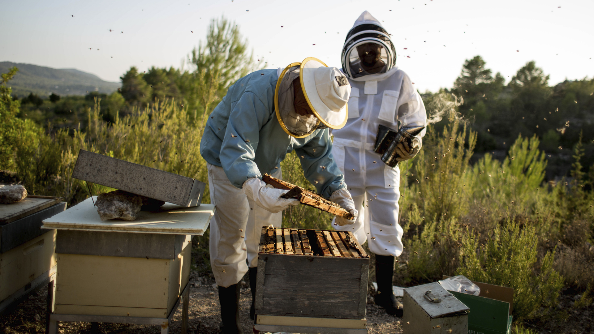 Ibizan honey: the way to become one of the finest products in the world