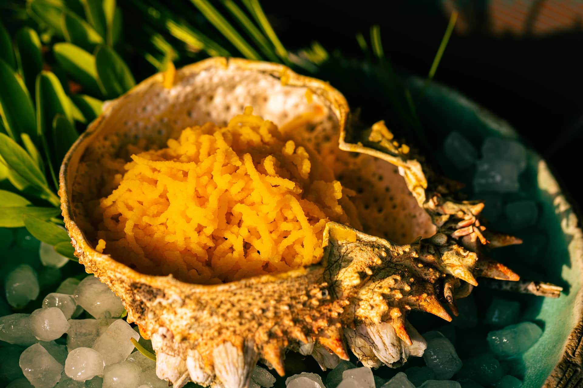Dani Torres, del Club Sa Raval, cruza la meta como vencedor absoluto. 