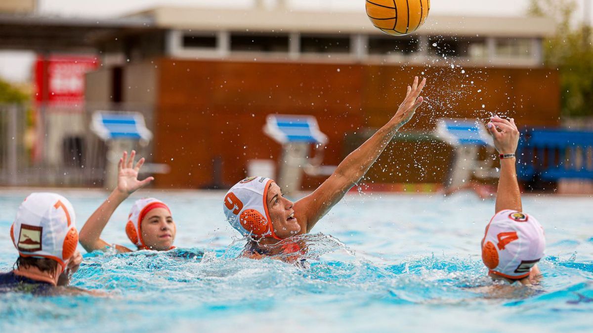 Ibiza and Formentera record the highest number of real estate property sales in their history