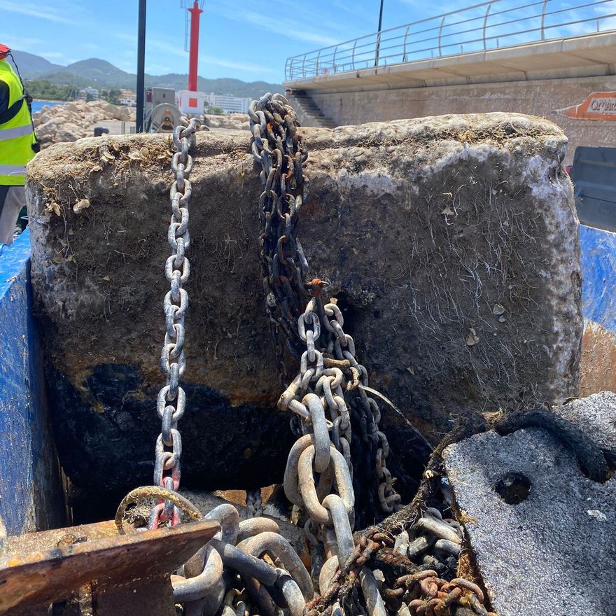 Herbivores: a danger to the flora of the islets