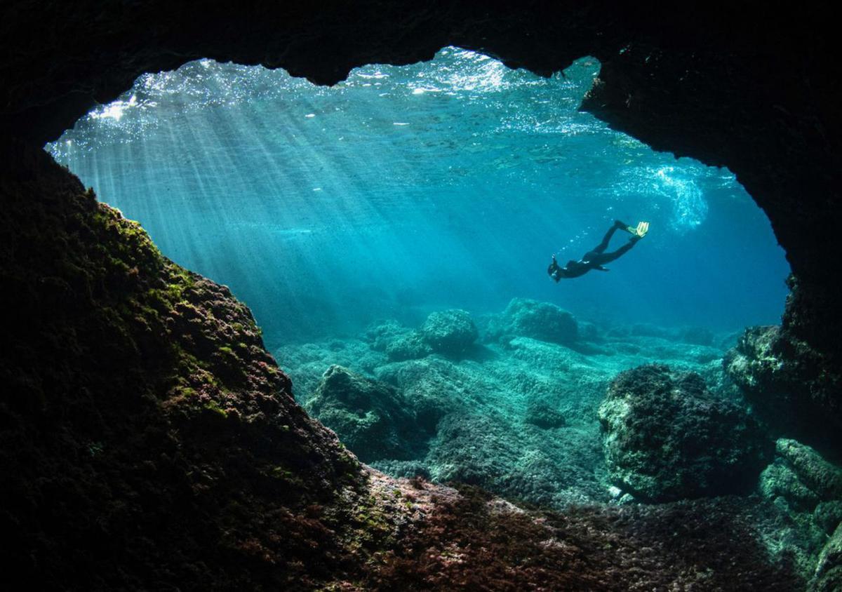Un apneísta se sumerge junto a una cueva en la Punta d’en Rovira. | XAVIER MAS