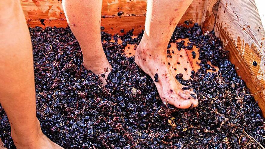 Imagen de la ‘fonyada de raïm’. | ZOWY VOETEN