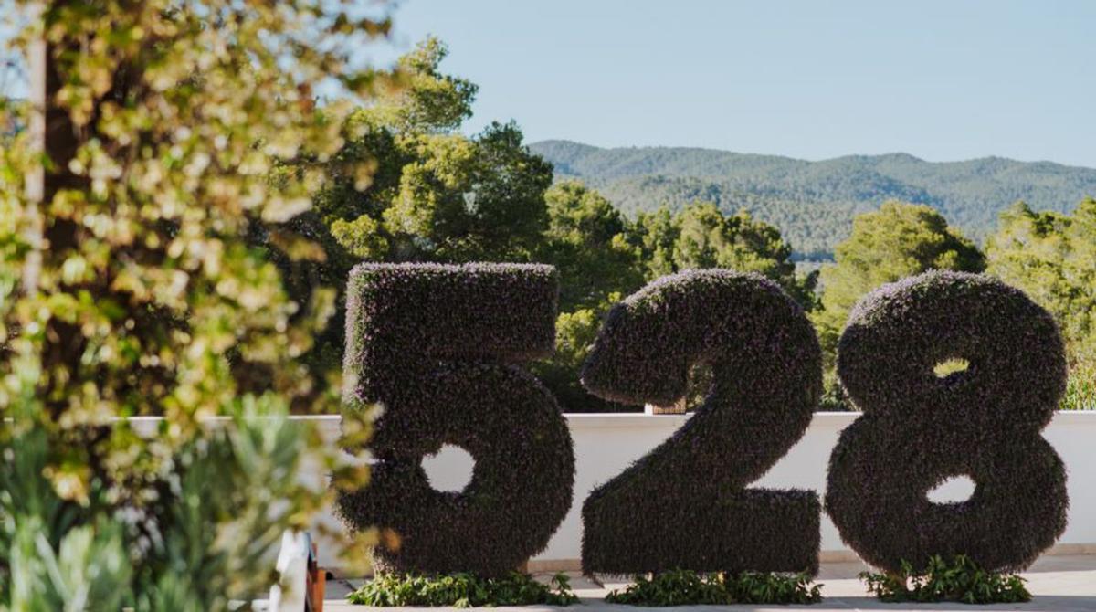 528 Ibiza está ubicado en las colinas de Benimussa.