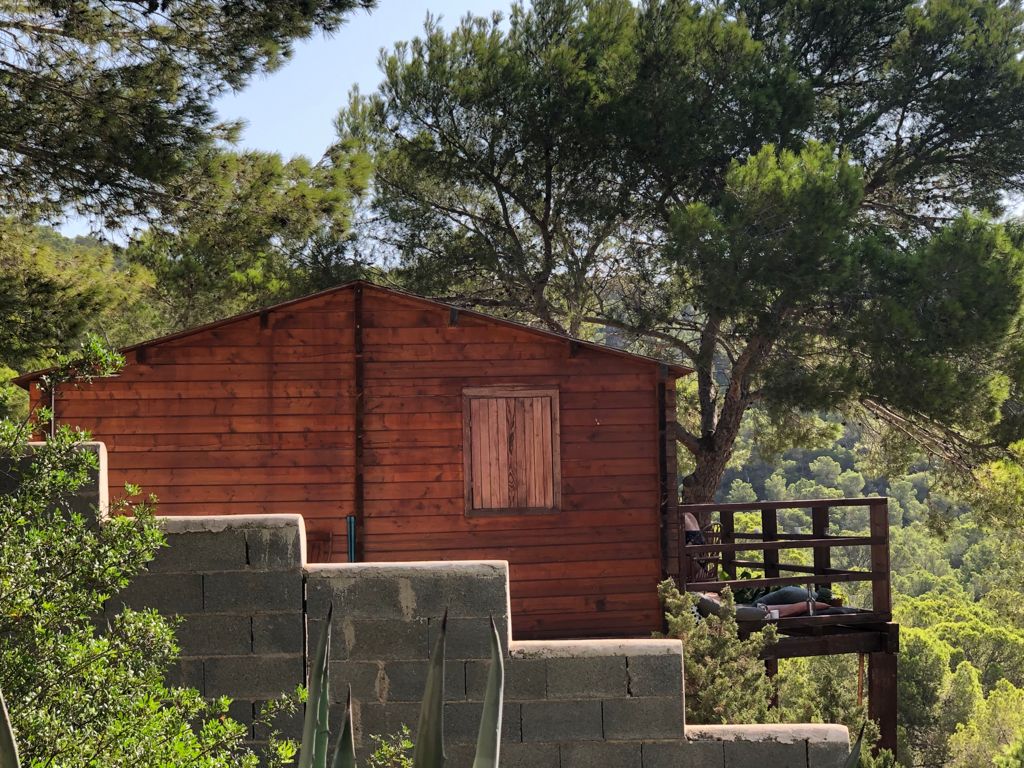 Illegal wooden houses are being built in the middle of the Ses Salines Natural Park in Ibiza