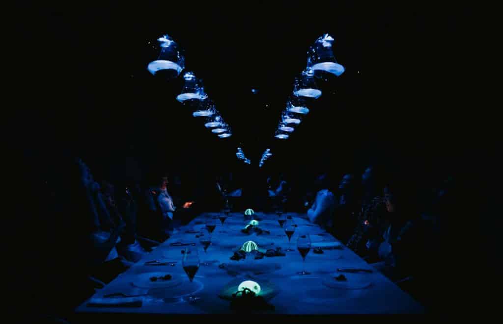 Campo de acelgas «muy crecidas» en Sant Antoni hace un mes. | ECOFEIXES