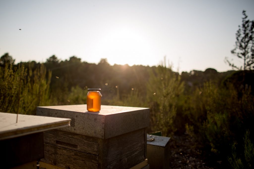 German government recommends avoiding foreign travel at Christmas time